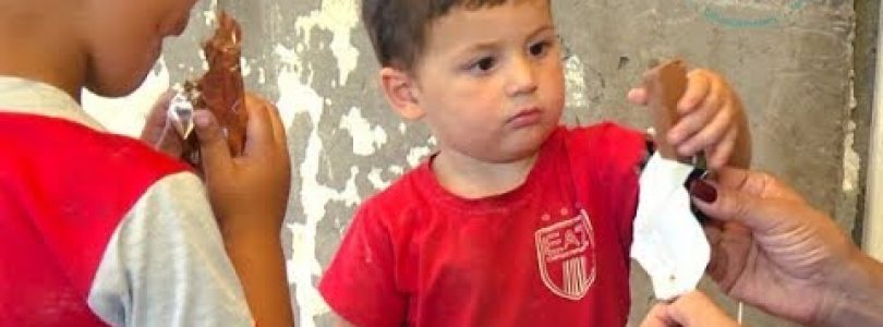 Kisabac Lusamutner Ampopum N9 2017