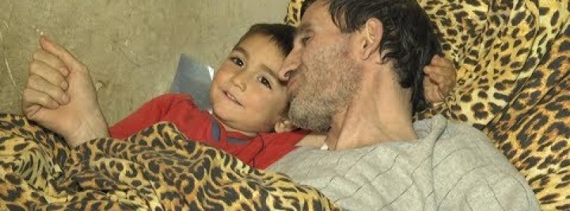 Kisabac Lusamutner Hertin Spaselov