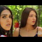 Kayaran Episode 224