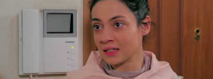 Ete Gtnem Qez Episode 233