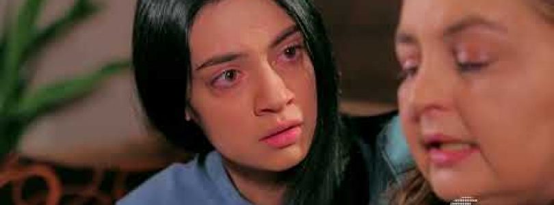 Ete Gtnem Qez Episode 242