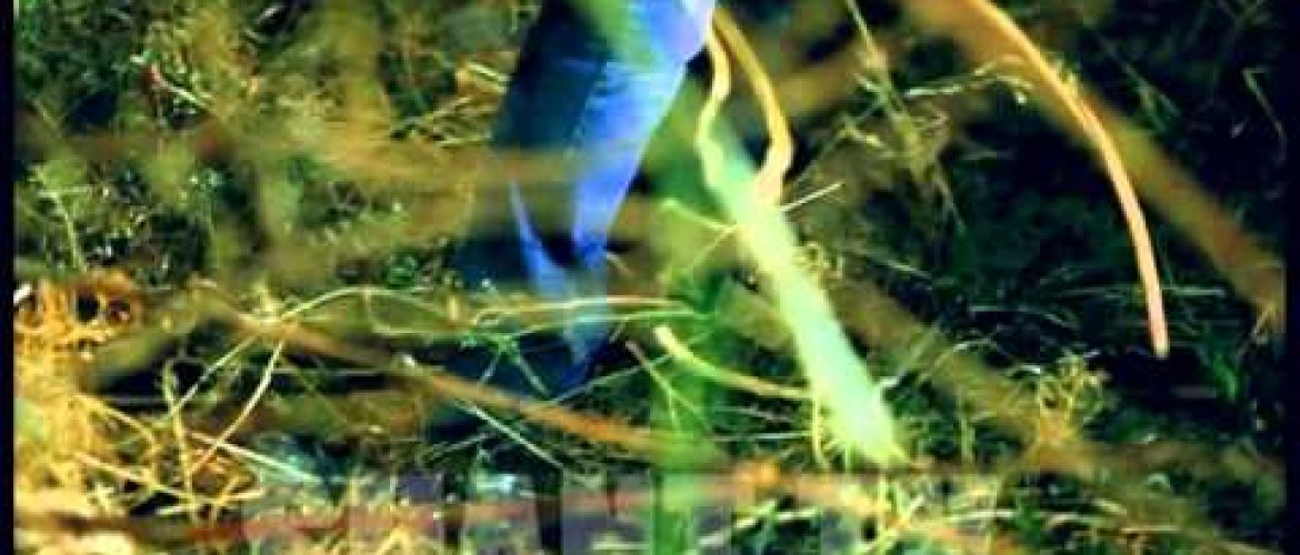 Urishi Hogin Episode 3