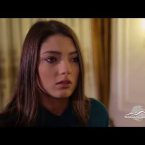 Kayaran Episode 337