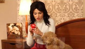 Xopani Tesutyun Episode 67