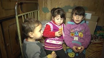 Kisabac Lusamutner Ampopum N1 2018
