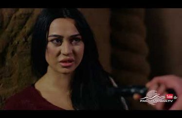 Qavaran Episode 14