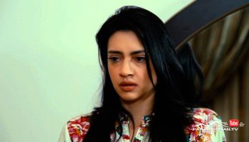 Verjin Hayrike Episode 88