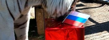 The World Today 06.19.18