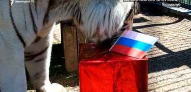 The World Today 06.19.18