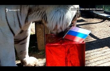 The World Today 06.19.18