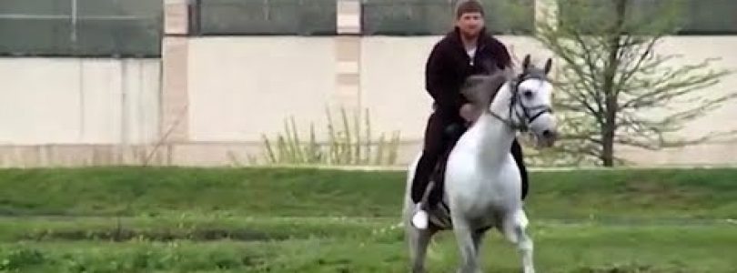 The World Today 11.30.18