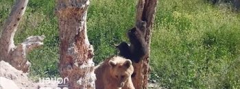 Lratvakan Kentron July 26, 2019