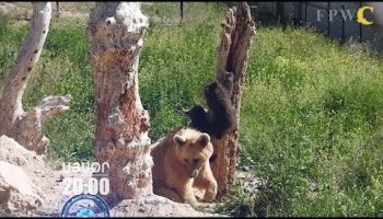 Lratvakan Kentron July 26, 2019