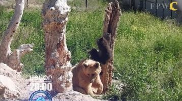 Lratvakan Kentron July 26, 2019