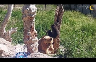 Lratvakan Kentron July 26, 2019