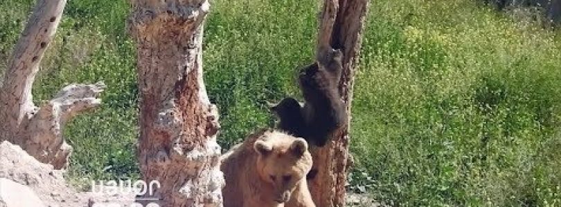 Lratvakan Kentron July 26, 2019