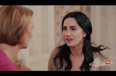 Debedi Gaxtniqe Episode 4