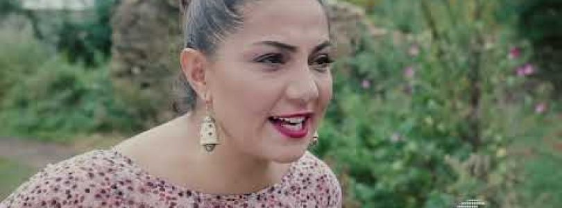 Debedi Gaxtniqe Episode 6