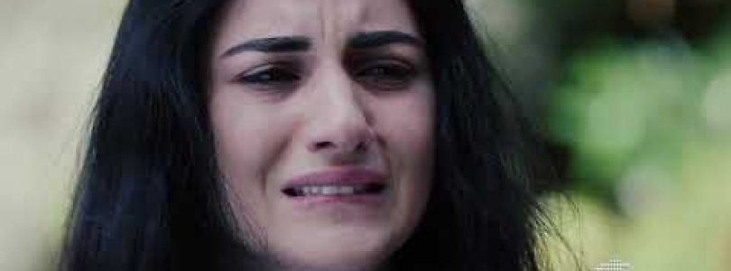 Debedi Gaxtniqe Episode 8