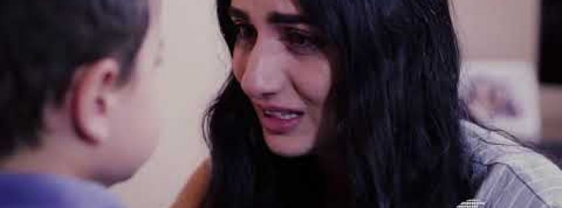 Debedi Gaxtniqe Episode 9