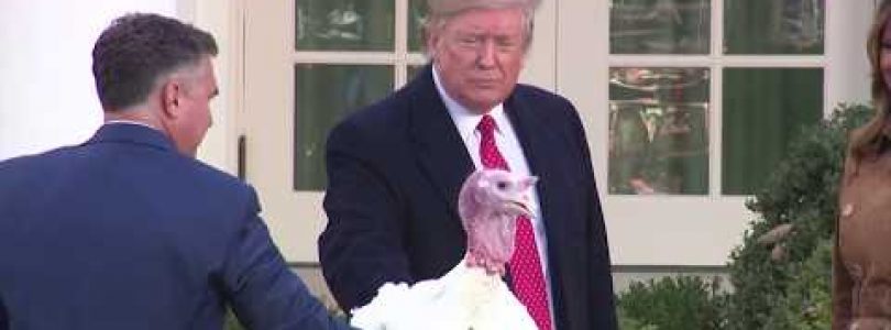 The World Today November 27, 2019