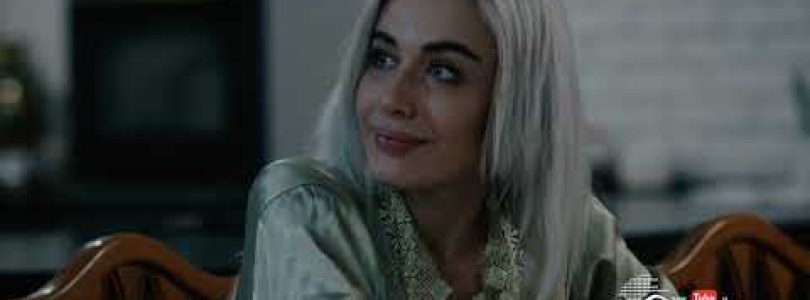 Shirazi Vard Episode 5