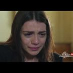 Shirazi Vard Episode 45