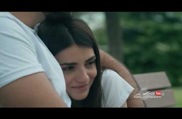 Shirazi Vard Episode 104