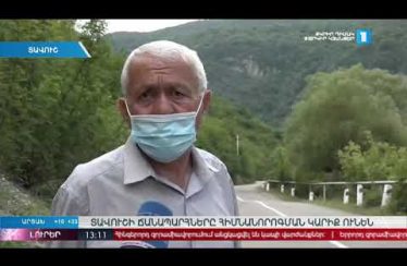 Lurer August 20, 2020