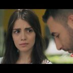 Shirazi Vard Episode 120