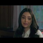 Shirazi Vard Episode 163
