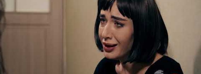 Shirazi Vard Episode 186