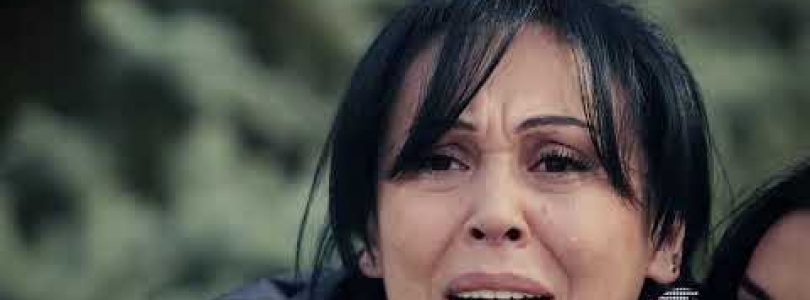 Ojaxi Ergy Episode 7