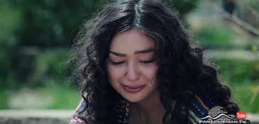 Ojaxi Ergy Episode 15